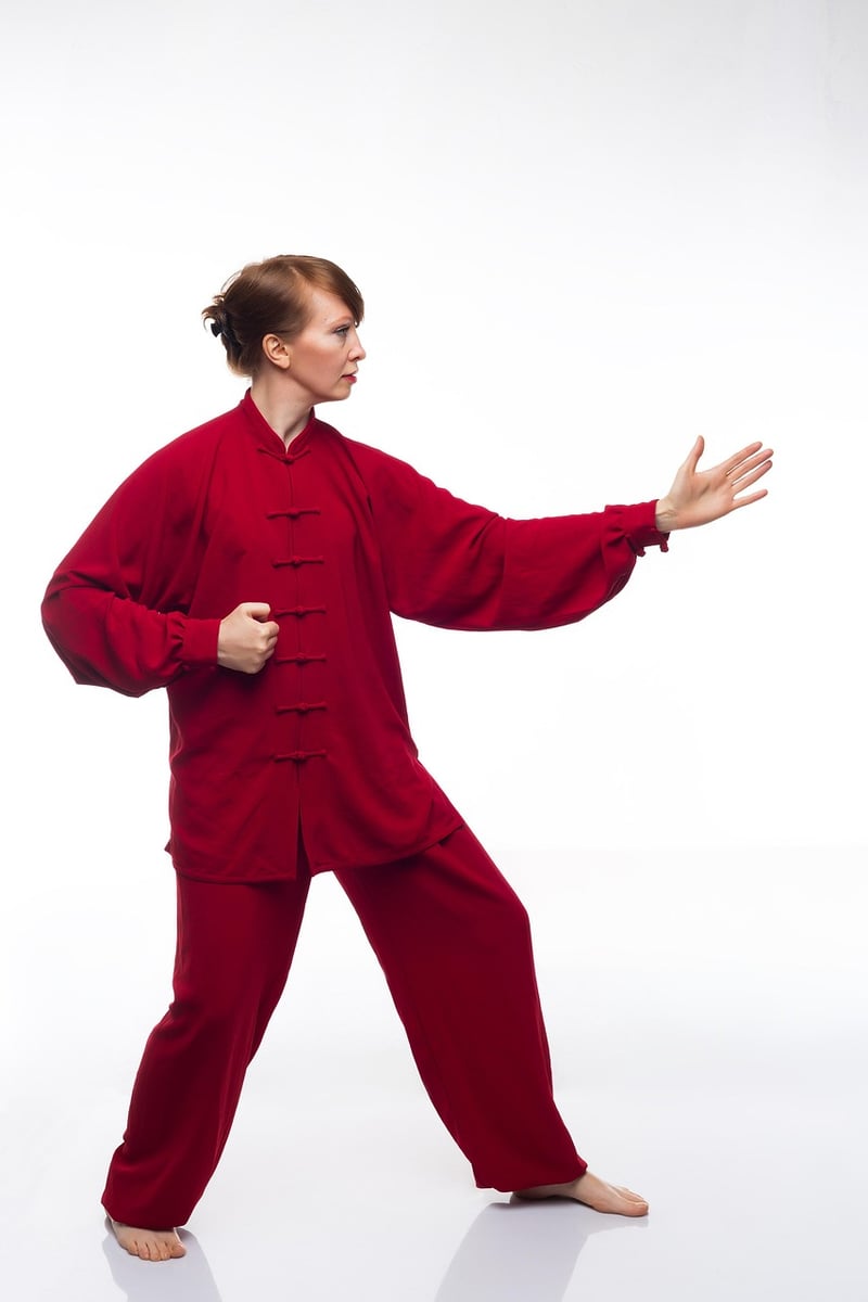 Tai Chi Harmony